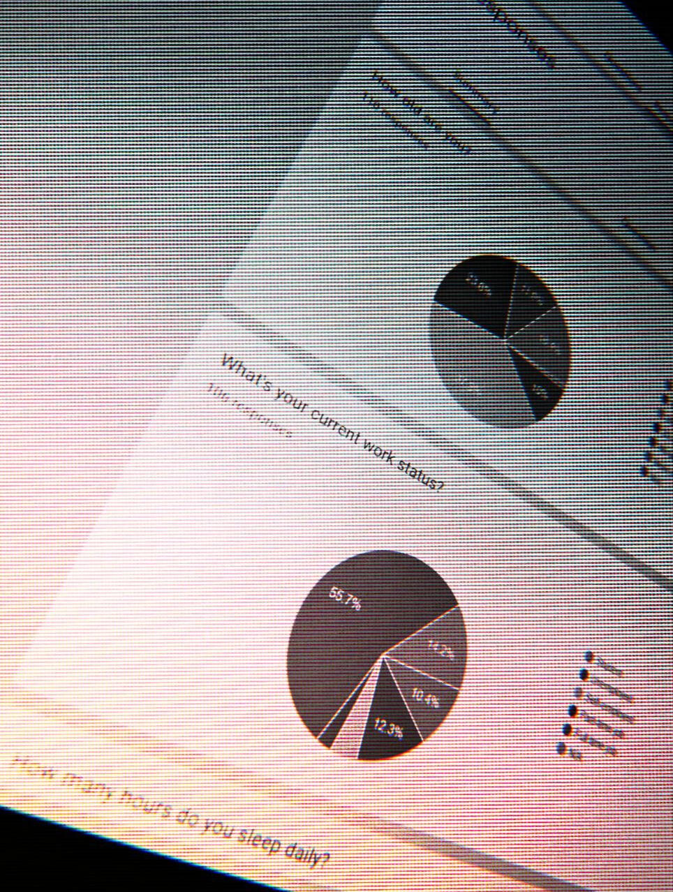 Photo of a computer screen showing pie charts from a survey that says: "What's your current work status".